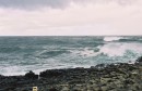 Causeway Again * More of the Giant's Causeway * 1536 x 1002 * (390KB)